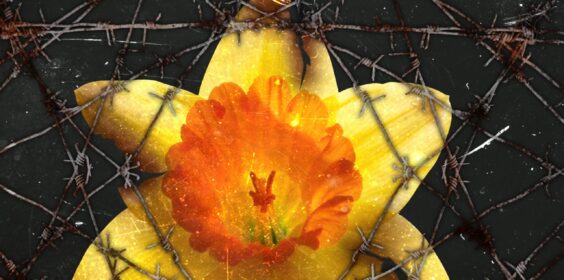 Book Signing with Cheyanna Fields